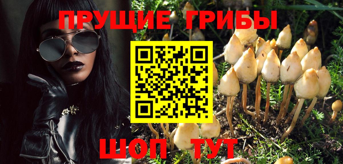 Советская Гавань  Галлюциногенные грибы Cubensis  Вход с VPN 