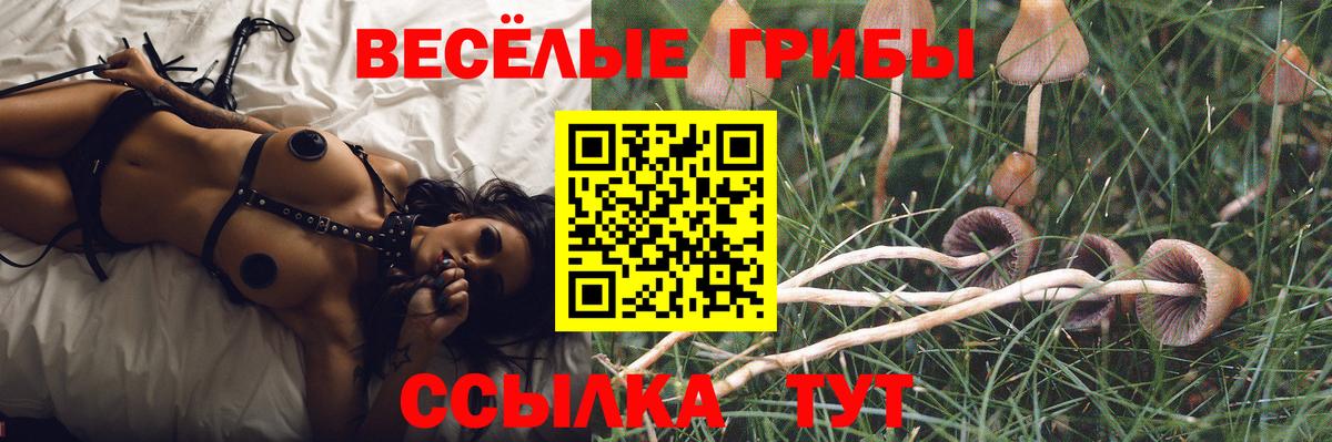 Галлюциногенные грибы ЛСД Советская Гавань